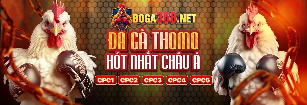 Đăng ký và Tải App 383sports